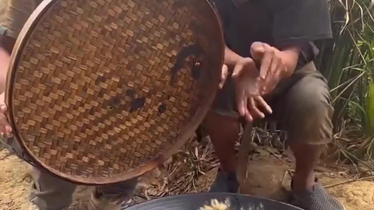 Fish fry