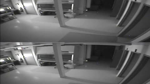 1702CRIB01CribAnalysisArea_2021-01-05_04h00min00s287ms.mp4