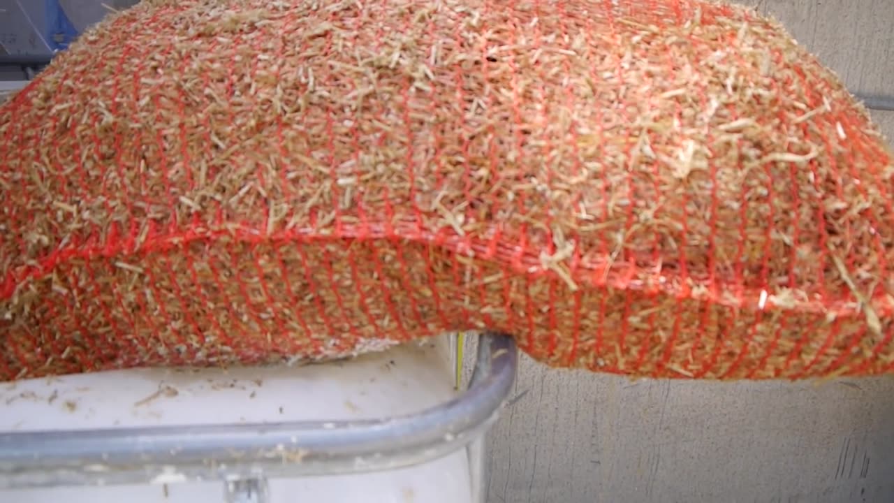 Bags vs Bottles vs Bales & Reducing Mushroom Production Costs I Mushroom Farming I GroCycle