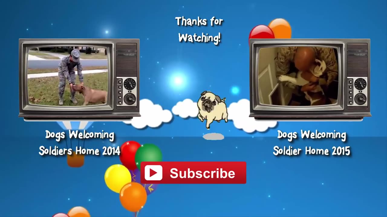 Laugh Out Loud with These Hilarious Cat and Dog Videos