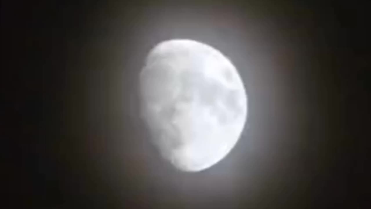 POV:You are Moon Lover 🌙