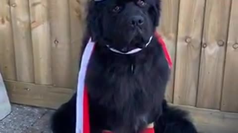 Glory ready for winter🎅🧤🧣