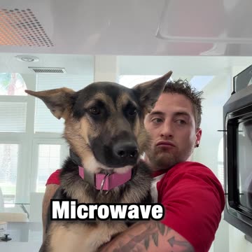 Showing my dog places she's never seen before...