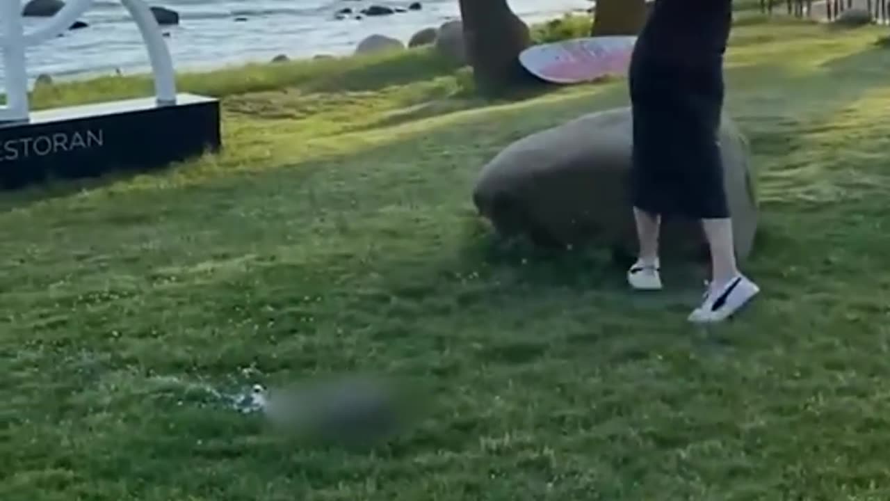 Crazy and Funny Videos!