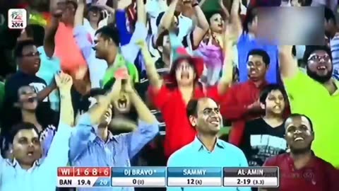 Sports Cricket