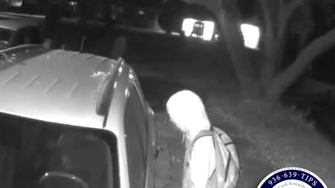 Jefferson Burglaries
