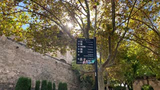 Palma de Mallorca view