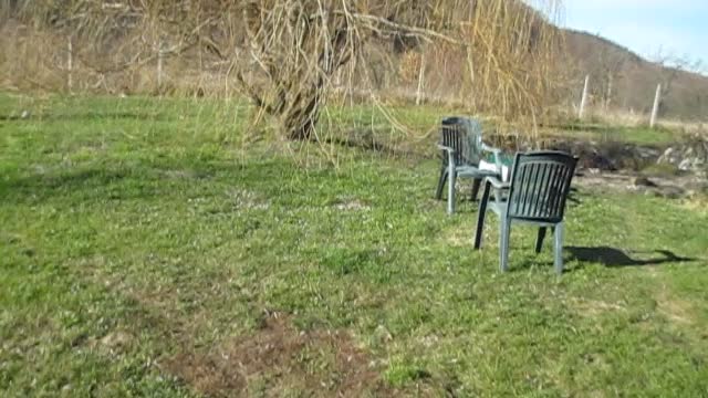 TALES FROM UNDER THE TREES