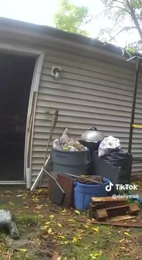 Girl Rescued From Evil Abusers