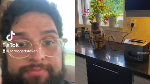 More Funny Pets Reaction