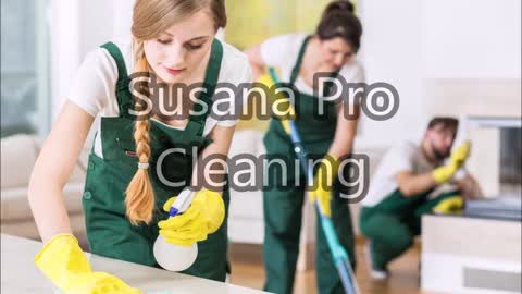 Susana Pro Cleaning - (510) 916-6899