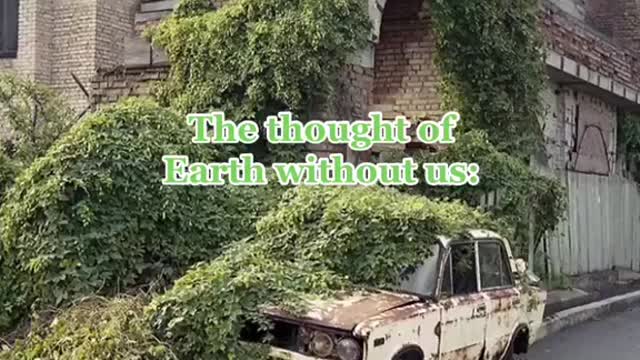 "Aren't you scared that climate change might wipe out humanity?"