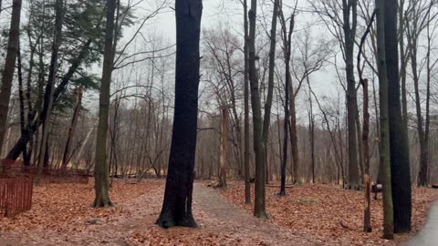 James Gardens Toronto all quiet