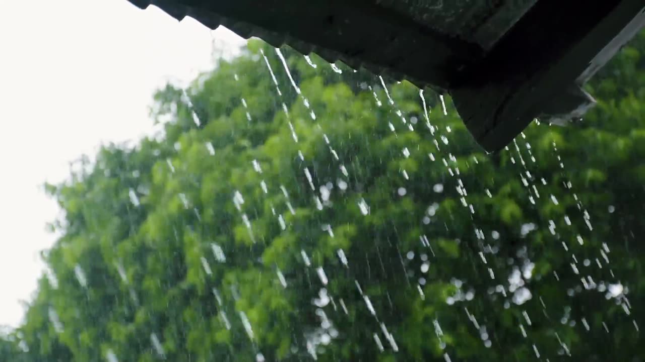 Rainfall