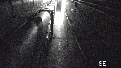 8505TUNN00VioletTunnel0685_2021-01-05_04h29min34s623ms.mp4