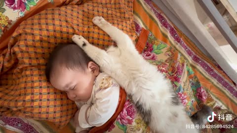 Cute cat with cute BABY 😍🍼