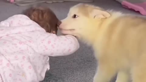 My Husky Puppy & Baby Becoming Best Friends!". [UNSEEN CLIPS!!]