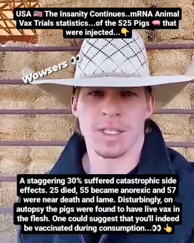 mRNA animal vaccine trial statistics