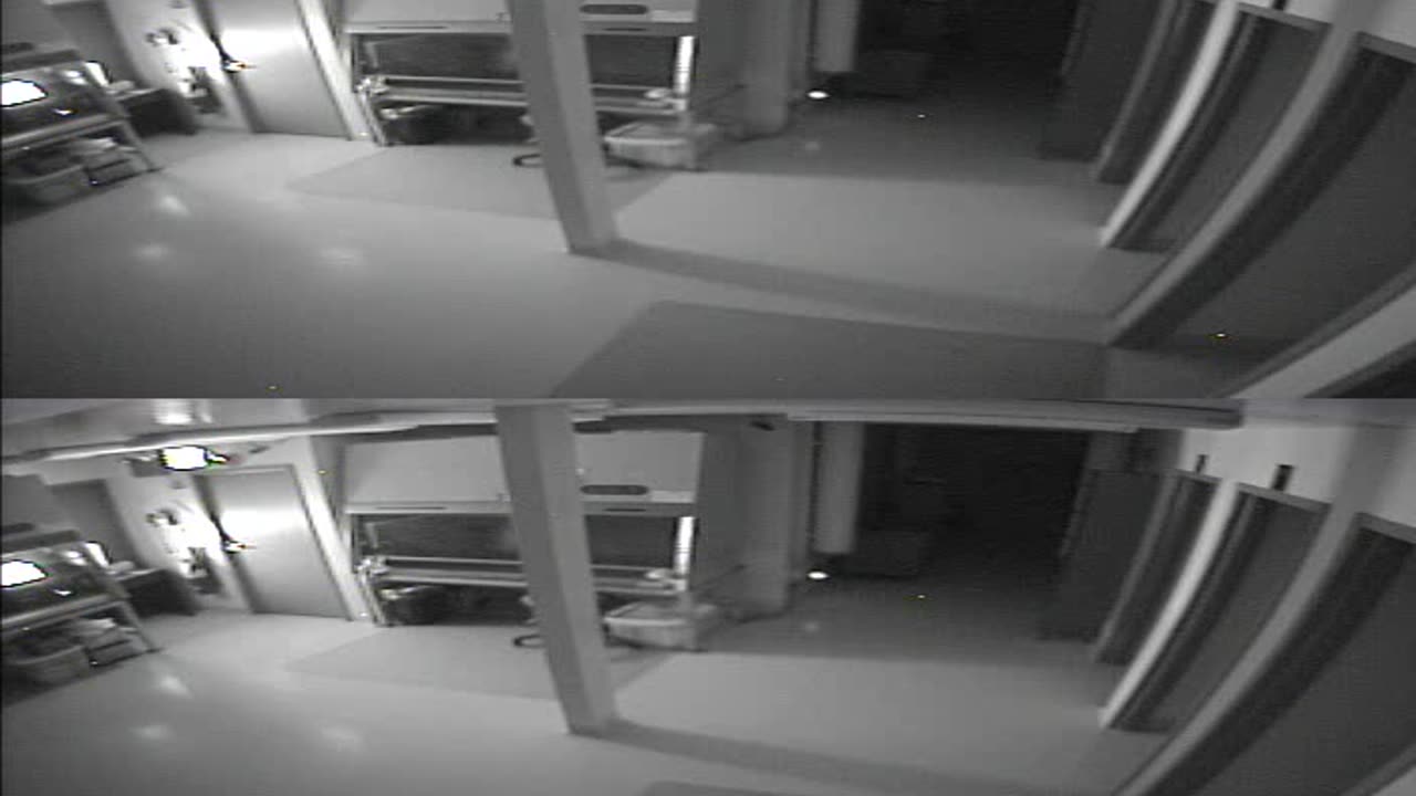 1702CRIB01CribAnalysisArea_2021-01-05_01h40min00s097ms.mp4