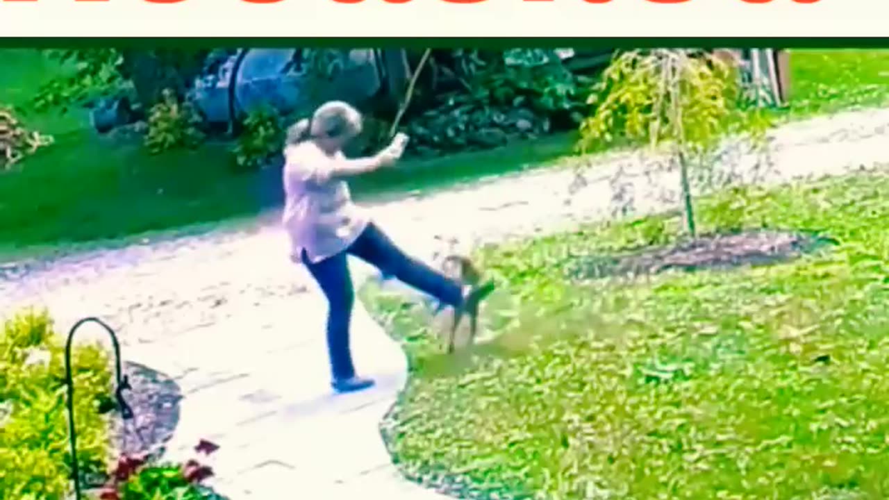 The animal attacked the man 😲😱😱 #animals