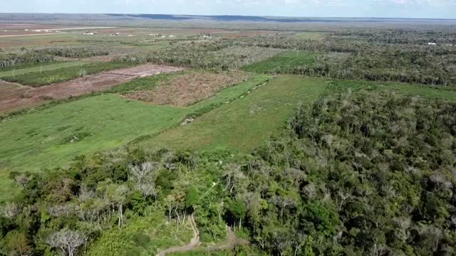 Mexico's Mennonites: God's work or environmental disaster?