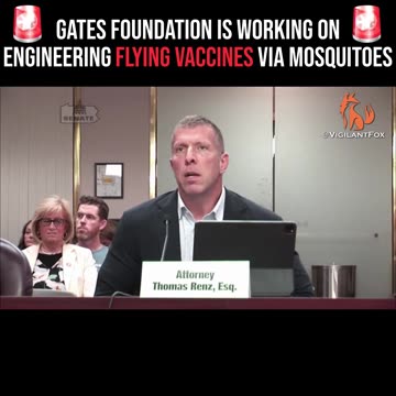 Gates Foundation is Working on Engineering Flying Vaccines Via Mosquitoes, Attorney Thomas Renz