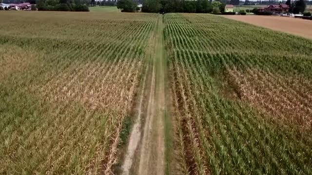 Drone captures devastation of Italian drought