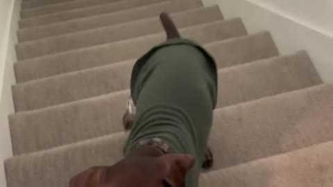 Oh, I was just bringing you your shoe