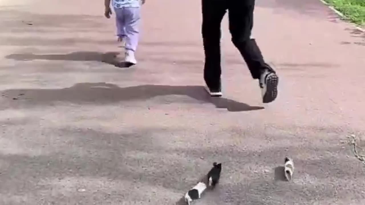 What did the teams do at the end?