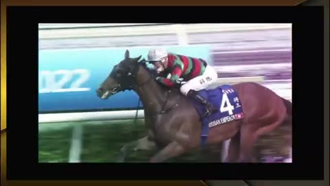 Singapore Horse Racing Online Betting | EZ12BET