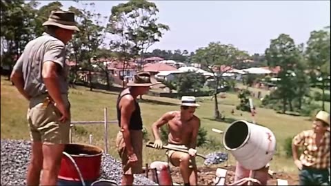 comedy - drama - They're a Weird Mob (1966) film