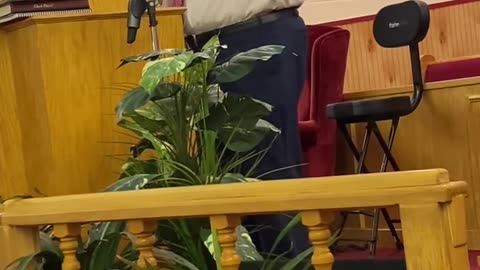 The Holy Bible/Word of God