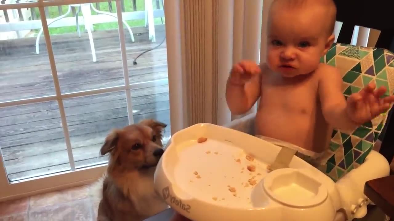 Cutest Babies Play With Dogs And Cats