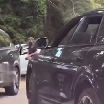 Never Feed The Wild Animals!