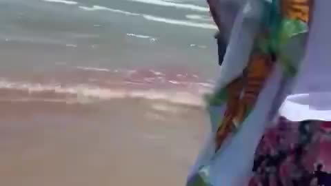 Shark Bites 4 People Off Texas Beach