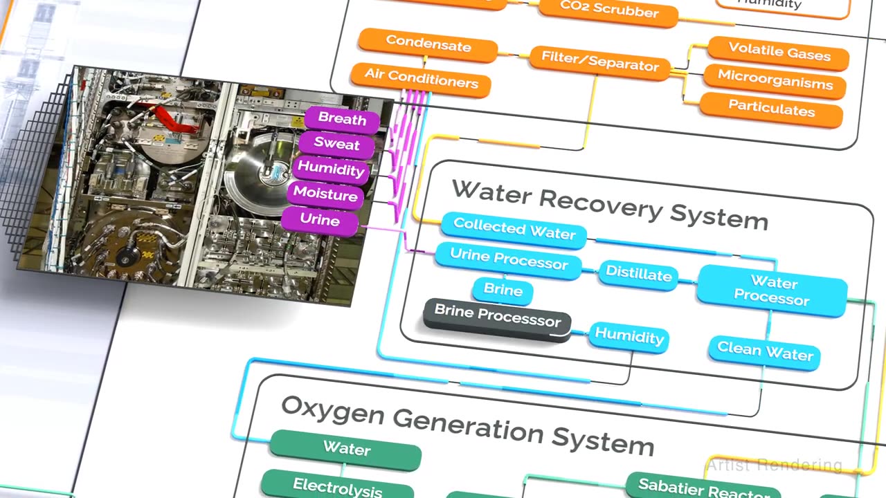 Vision Changes in Space Over the Time, Other Effects of Space on Physiology, A Report by NASA