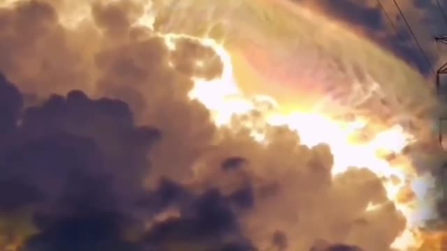 The unimaginable beauty of nature