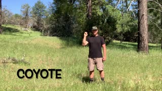 Communicate using pictures. (Coyote)