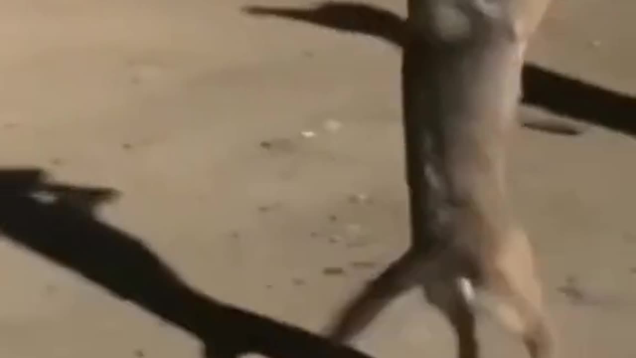 hhhhhhhhh