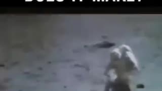 What Difference Does It Make