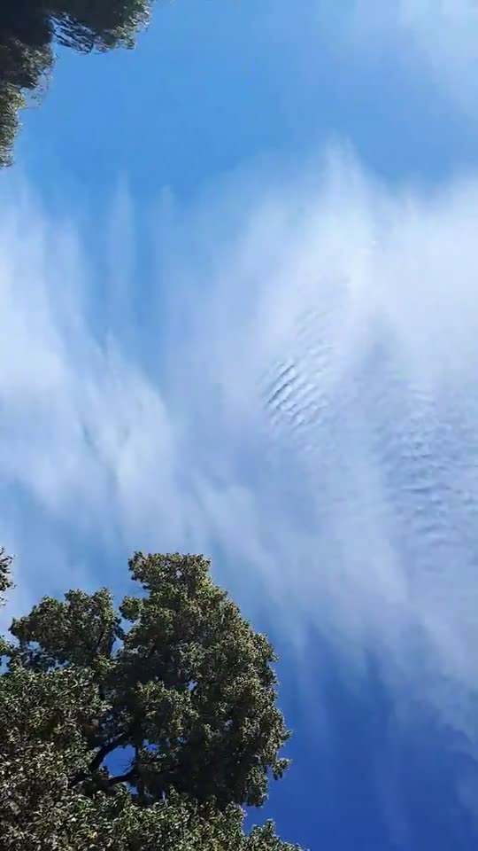 Himmel in Berlin am 5.9.2023 um 14:13 Uhr