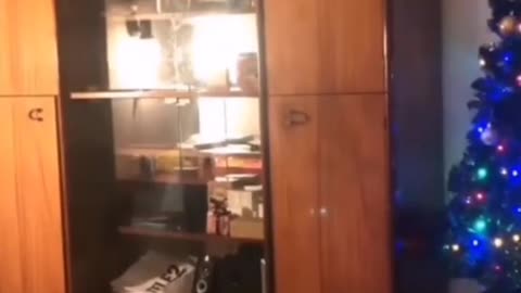 Funny animals 🤣🤣