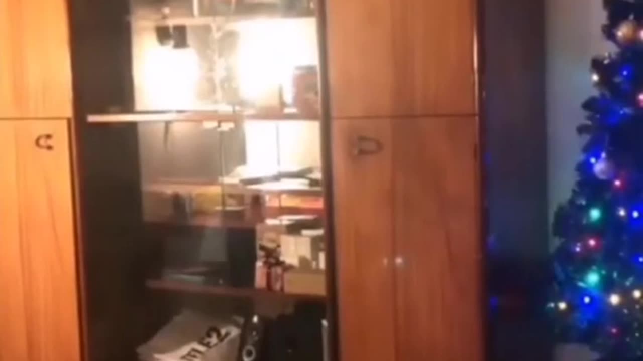 Funny animals 🤣🤣