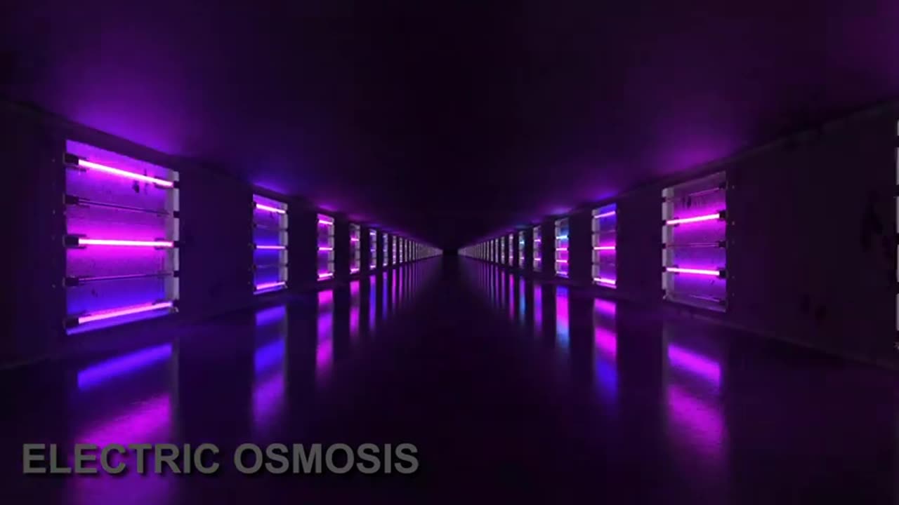 V I R T U A L 存在 - E - Motion