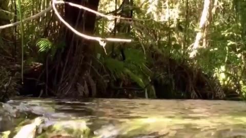 Serenity Sweat Mindful Cardio Blast
