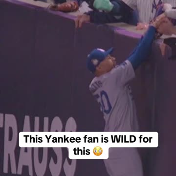 Yankee Fans Are WILD: Crazy Moments Compilation