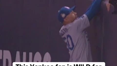 Yankee Fans Are WILD: Crazy Moments Compilation