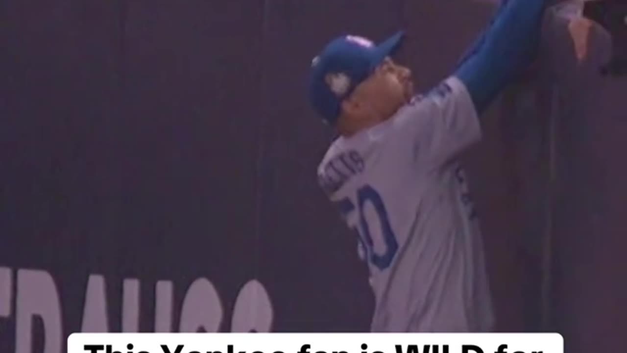 Yankee Fans Are WILD: Crazy Moments Compilation