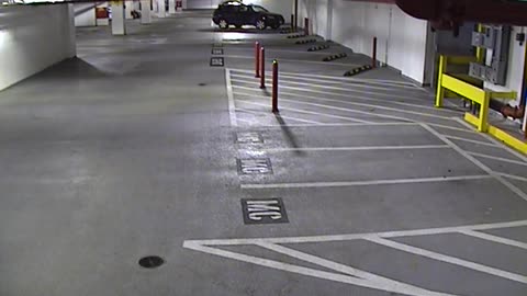 6120RHOBG2G204ALobby4Entrance_2021-01-06_00h40min01s313ms.mp4