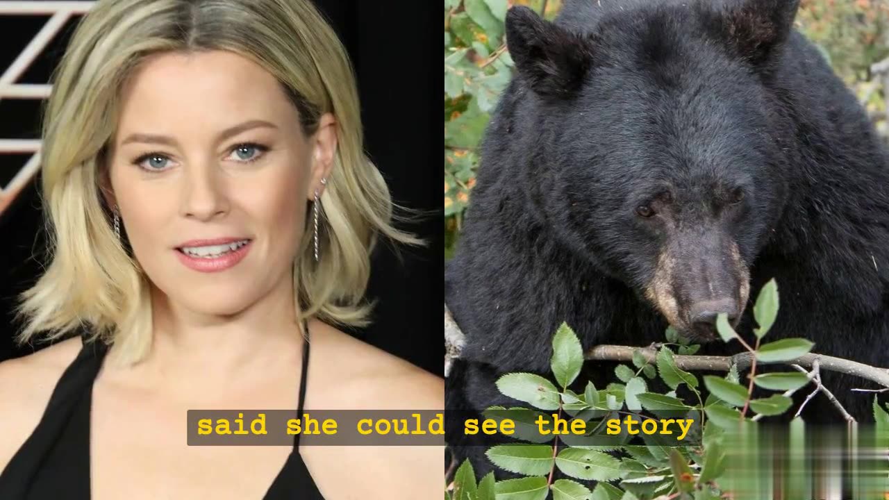 Cocaine Bear to Blow Its Way onto Peacock